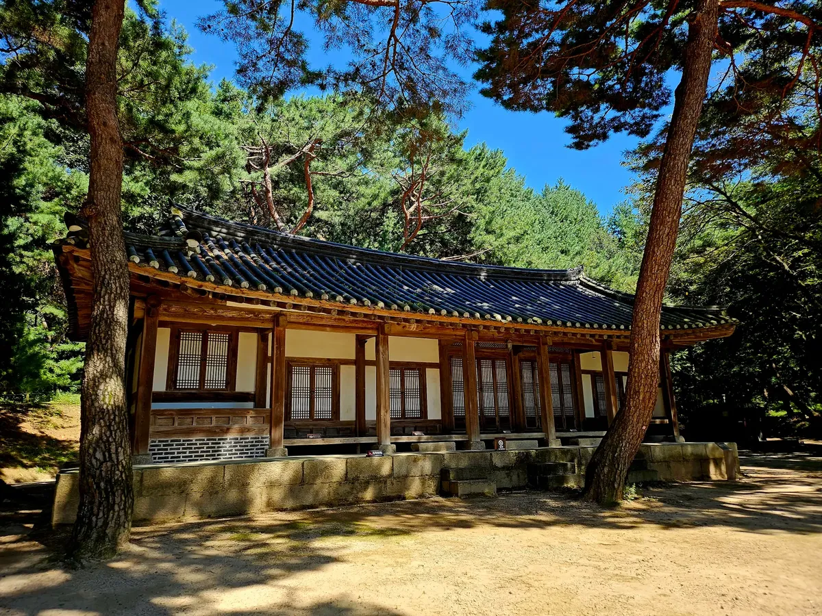 Elegant traditional wooden Korean house surrounded by lush forest scenery.