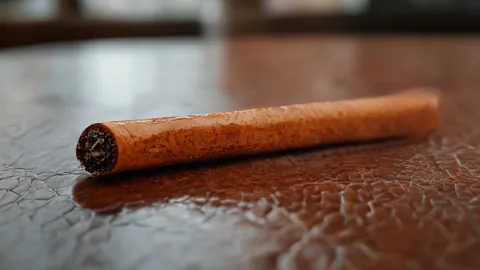 心理博弈深度指南：解析劇中複雜人際關係與人性試煉